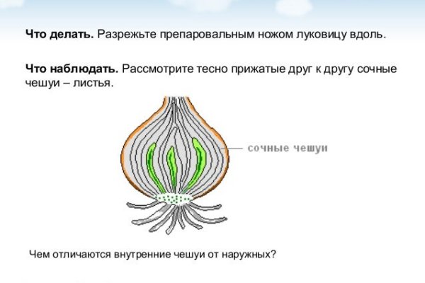 Даркнет официальный сайт на русском