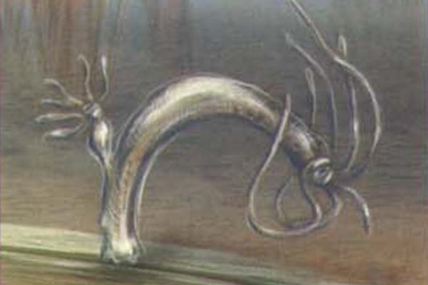 Кракен зайти