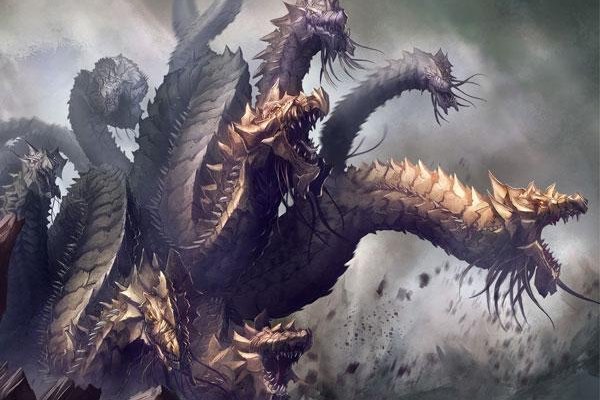 Kraken 20at