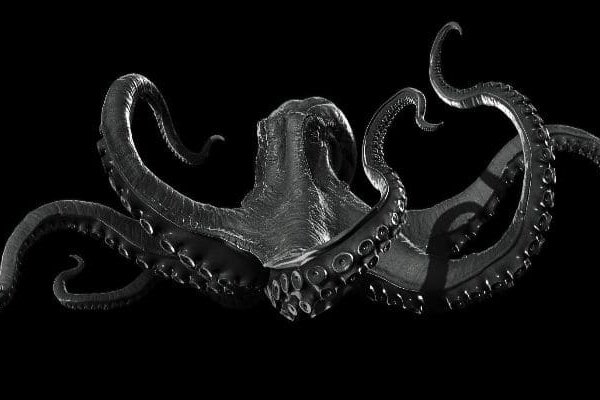Kraken актуальные зеркала krakentor site