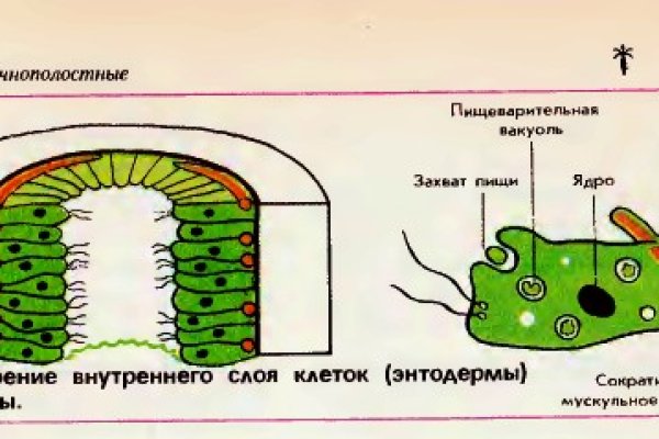 Только через тор кракен