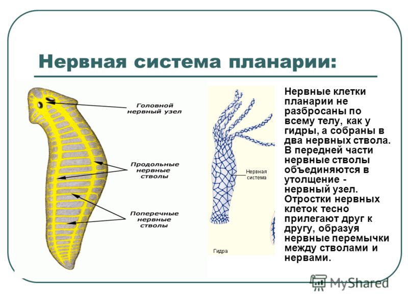 Кракен сайт юнион
