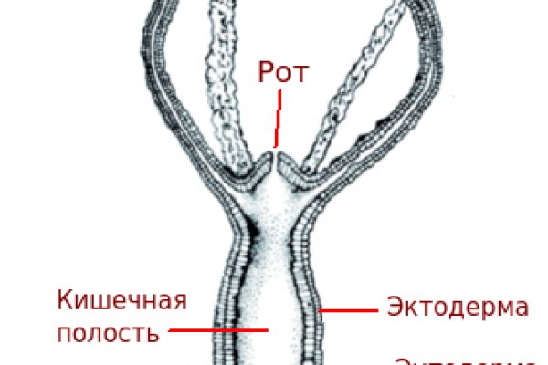 Кракен 9ат