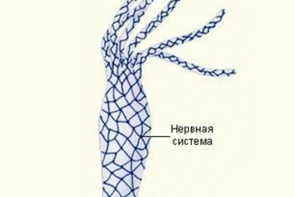 Маркет кракен маркетплейс