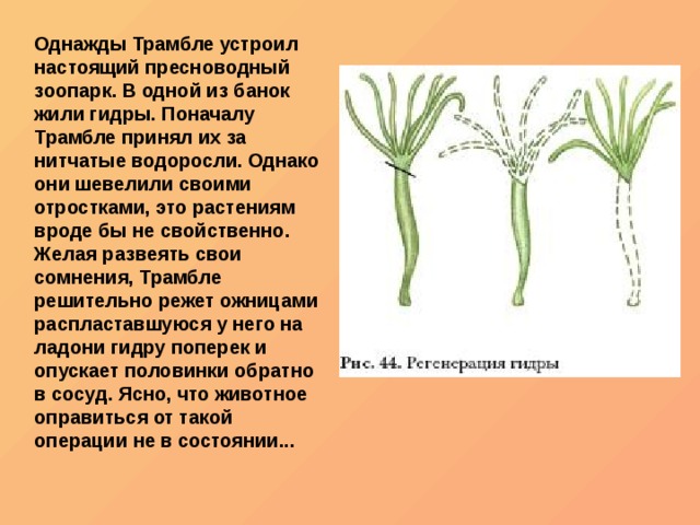 Регистрация на сайте кракен