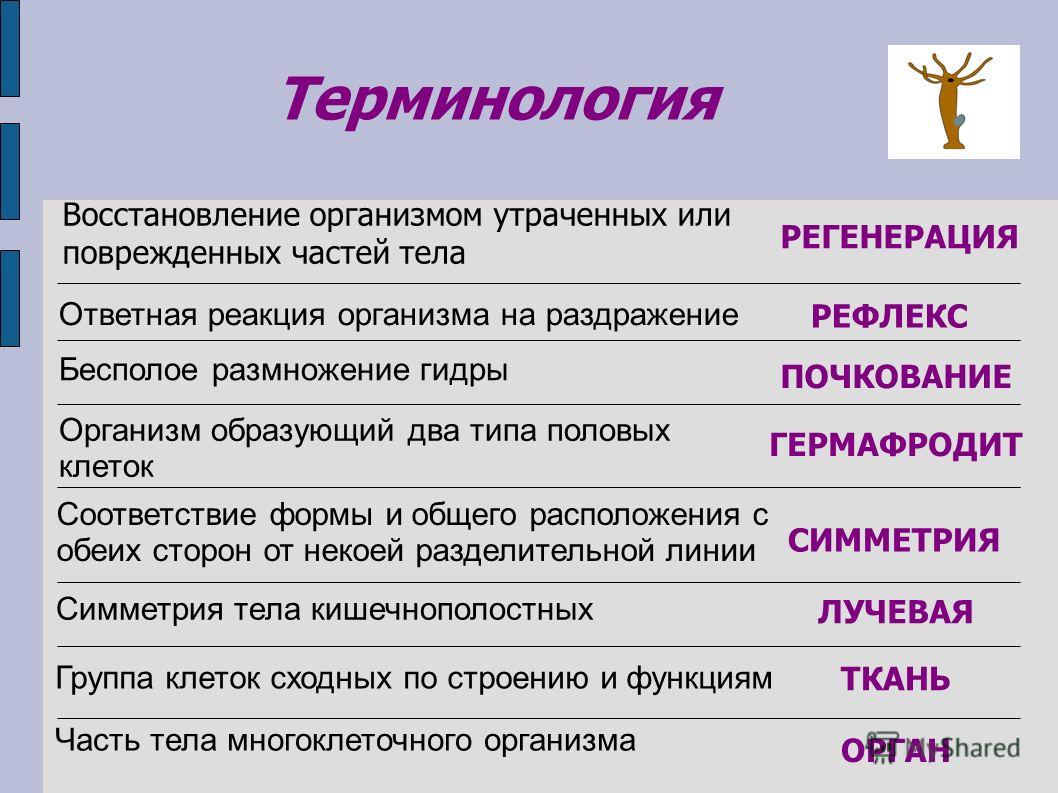 Вход в кракен