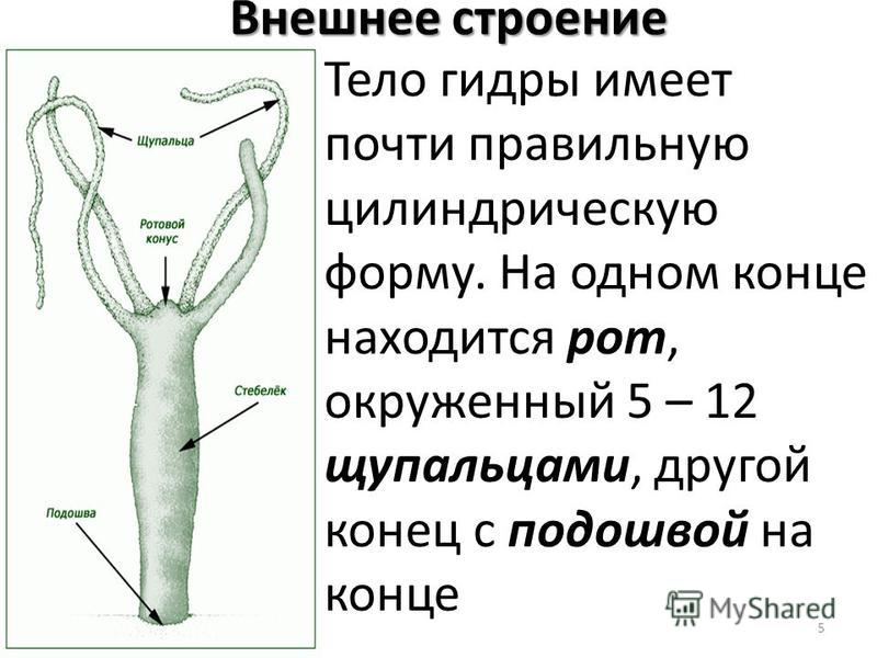Кракен наркомаркетплейс